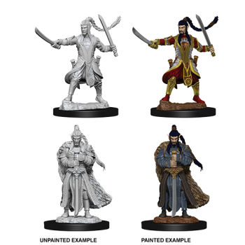 D&D Nolzur's Marvelous Miniatures - Male Elf Paladin