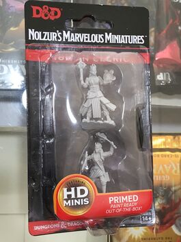 D&D / Pathfinder / Wardlings Miniatures - Human Female Cleric D&D / Pathfinder / Wardlings Miniatures - Human Female Cleric