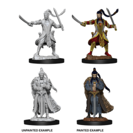 D&D Nolzur's Marvelous Miniatures - Male Elf Paladin