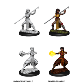 D&D Nolzur's Marvelous Miniatures - Female Half-Elf Monk D&D Nolzur's Marvelous Miniatures - Female Half-Elf Monk