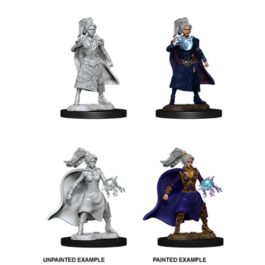 D&D Nolzur's Marvelous Miniatures - Female Human Sorcerer D&D Nolzur's Marvelous Miniatures - Female Human Sorcerer