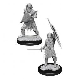 D&D Nolzur's Marvelous Miniatures - Human Fighter Male D&D Nolzur's Marvelous Miniatures - Human Fighter Male