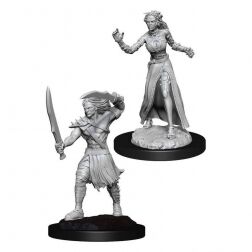 Magic the Gathering Unpainted Miniatures: Vampire Lacerator & Vampire Hexmage Magic the Gathering Unpainted Miniatures: Vampire Lacerator & Vampire Hexmage