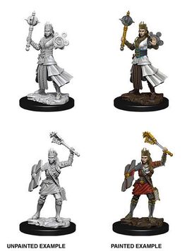 D&D Nolzur's Marvelous Miniatures Miniaturas sin pintar Female Human Cleric D&D Nolzur's Marvelous Miniatures Miniaturas sin pintar Female Human Cleric