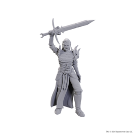 D&D Nolzur's Marvelous Miniatures: Blackguard D&D Nolzur's Marvelous Miniatures: Blackguard