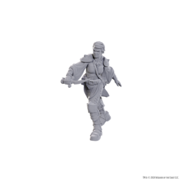 D&D Nolzur's Marvelous Miniatures: Swashbuckler D&D Nolzur's Marvelous Miniatures: Swashbuckler