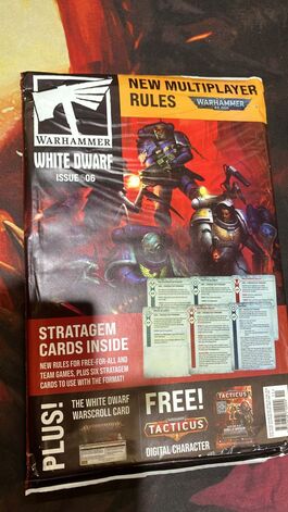 White Dwarf 506
