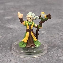 Adventures in Faerun #37 Gnome Emerald Enclave Druid (R)