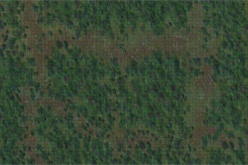 D&D Icons of the Realms: Battle Mat Bosque (SE ENVÍA SOLO, NO SE COMBINA CON GASTOS DE ENVÍO DE OTROS ARTÍCULOS)