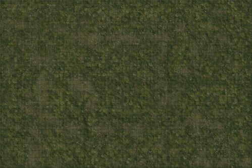D&D Icons of the Realms: Battle Mat Praderas (SE ENVÍA SOLO, NO SE COMBINA CON GASTOS DE ENVÍO DE OTROS ARTÍCULOS)