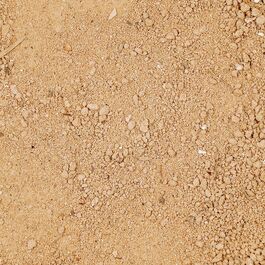 Sands Of The Ancient Bones