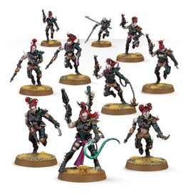 Drukhari Wyches Drukhari Wyches
