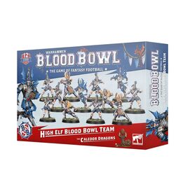 Equipo High Elf de Blood Bowl: The Caledor Dragons Equipo High Elf de Blood Bowl: The Caledor Dragons