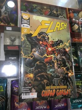 Flash 30 Flash 30