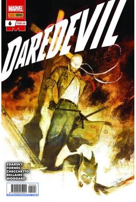 DAREDEVIL 06 DAREDEVIL 06