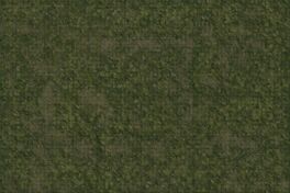 D&D Icons of the Realms: Battle Mat Praderas (SE ENVÍA SOLO, NO SE COMBINA CON GASTOS DE ENVÍO DE OTROS ARTÍCULOS) D&D Icons of the Realms: Battle Mat Praderas (SE ENVÍA SOLO, NO SE COMBINA CON GASTOS DE ENVÍO DE OTROS ARTÍCULOS)