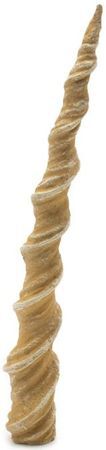 Unicorn Horn #51/50 Uncommon D&D The Wild Beyond the Witchlight